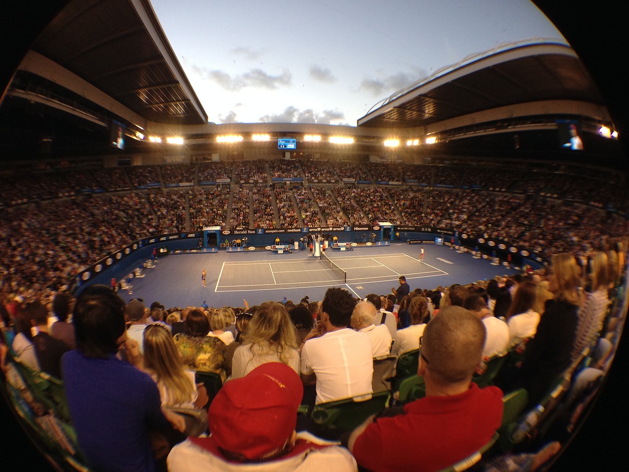 Djokovic Open d'Australie Australian Open 2025 Melbourne Tennis