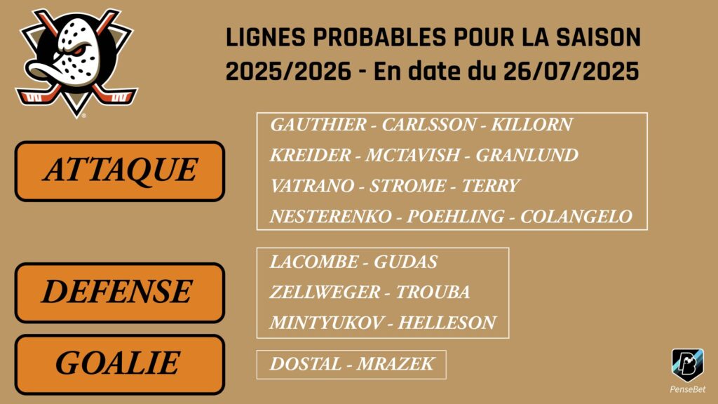 Lignes Anaheim