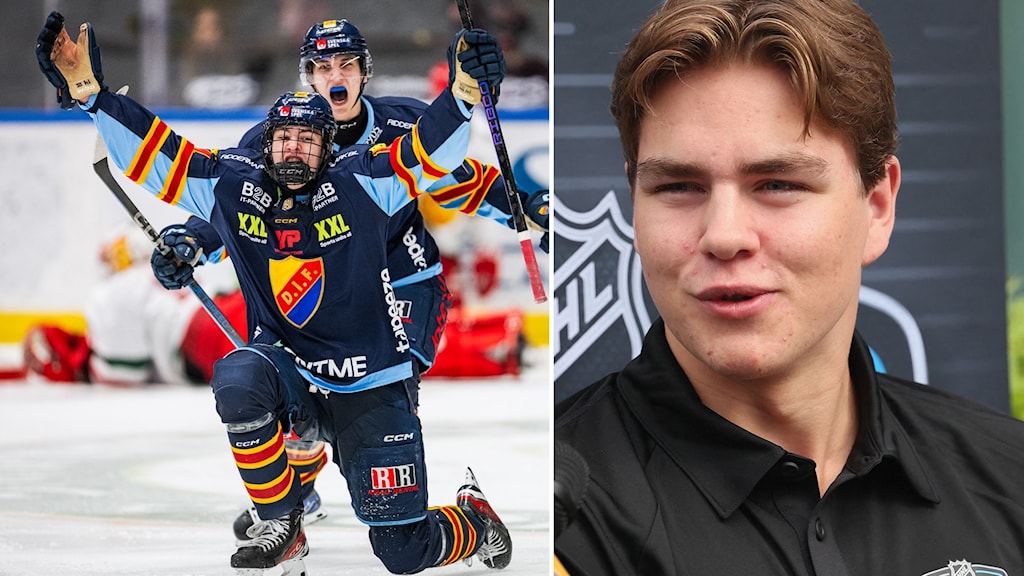NHL - Les Blackhawks frappent fort : Anton Frondell décroche son contrat d'entrée