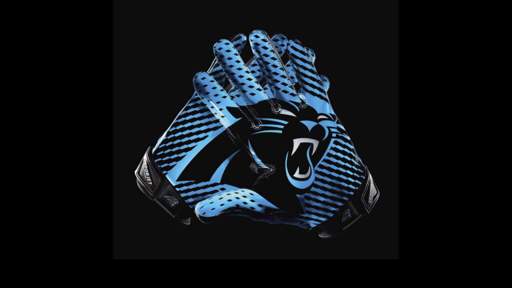 nfl preview Carolina Panthers 2025