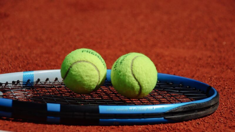 Tennis : Borg isn't out yet »I live day by day, year by year »