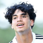 Photo de Omar Megeed — Hamburger SV