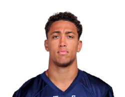 Photo de Nick Westbrook-Ikhine en NFL avec Miami Dolphins