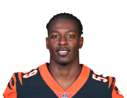 Photo de Akeem Davis-Gaither en NFL avec Arizona Cardinals
