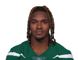 Photo de Jamien Sherwood en NFL avec New York Jets