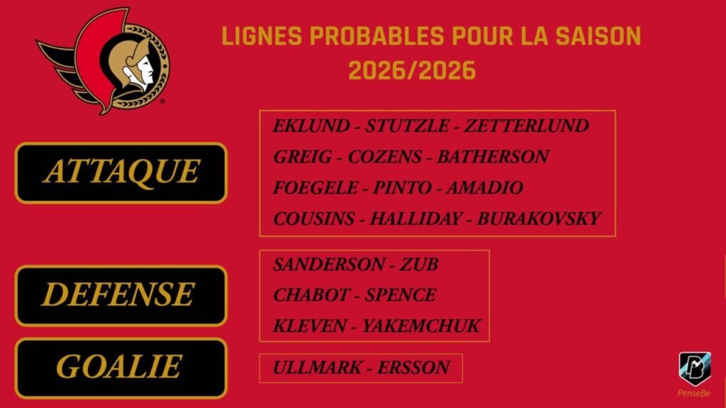 NHL Jour 7 : Ottawa Senators - Le discours contre la réalité
