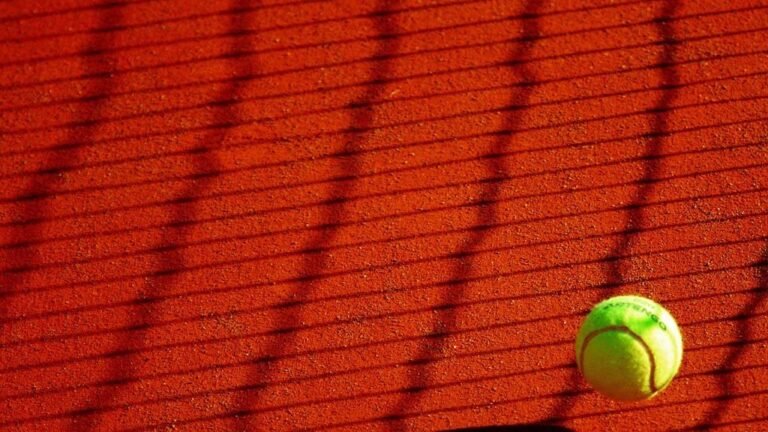 Tennis : Nakashima renverse de Minaur à Washington