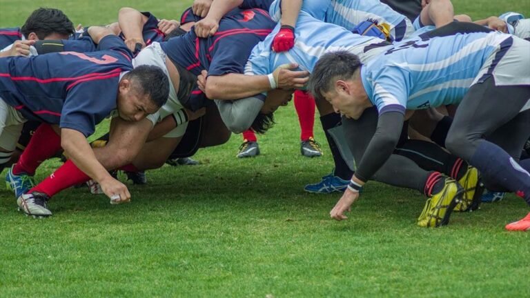 Rugby : les All Blacks débarquent au Cap