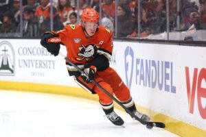 NHL Jour 20 - Anaheim Ducks - Le noyau grandit, la défense recule