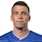 Photo de Séamus Coleman — Rep. Of Ireland